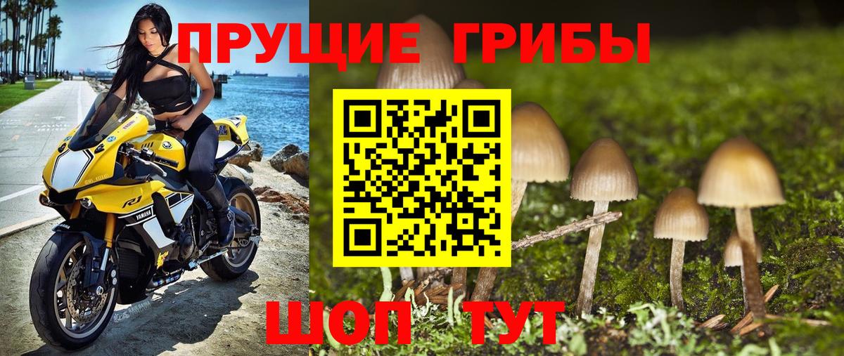 Егорьевск  Галлюциногенные грибы MAGIC MUSHROOMS  Вход с VPN 