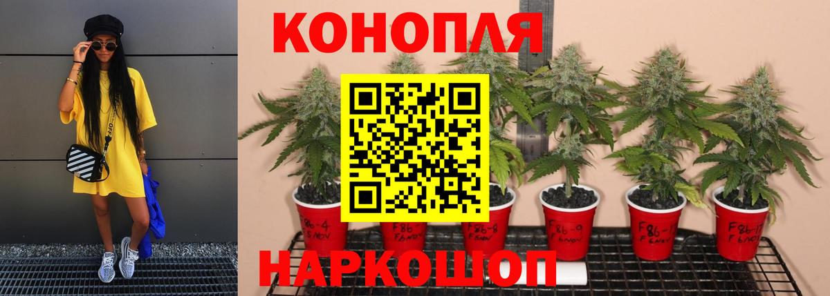 МАРИХУАНА Bruce Banner  Марихуана Bruce Banner  Егорьевск  МАРИХУАНА White Widow  Вход с VPN 